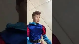Principe da Bela e a Fera