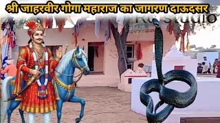 श्री जाहरवीर गोगा जी महाराज का जागरण दाऊदसर जय छोगा दादा 🙏