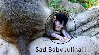 MG-It's So Hurt For Newborn Baby Monkey, Why Mom Sitting Like This On Baby?