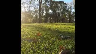 Edinburgh Gardens Timelapse