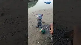 Rc cat toy testing #shorts