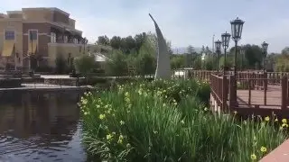 The Ducks of Valencia Bridgeport