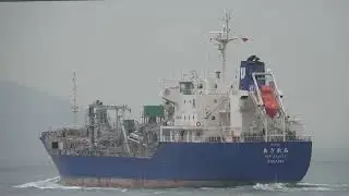 Cement Carrier《M/V AZALEA》Crossing the Tsing Ma Bridge in HK 20260130_C0013