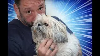 LIVE Dog Grooming POV | Lily&rsquo;s Bath, Nails & Ear Cleaning 🛁🐶 (Shih Tzu)