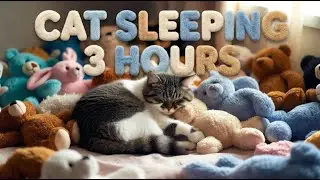 Cute Sleeping Cat & Soft Toys | Relaxing Music for Deep Sleep & Meditation