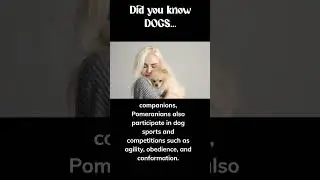 Pomeranians are used for what? 😮 #shorts #shortfacts #facts #dog #dogs #animalfacts #pup #factshorts