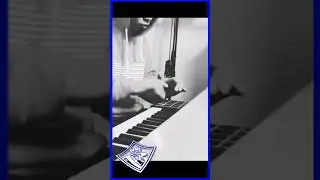 Learning How To Finger Drum (FL Studio + Alesis V49) #Fingerdrumming #Sampling #shorts