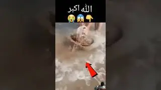 Allah hu Akbar #miracleofallah #miracleofislam #fishing #fish #allahsgrace #respect #allhah #memes