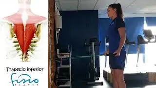 Trapecio inferior con el&aacute;stico