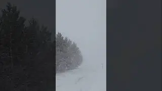 A nice March blizzard #blizzard #midwest #winter #marchweather #weather #snow #snowstorm #windy #wow