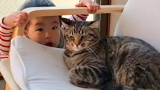 1歳児にお昼寝を邪魔された猫がこうなっちゃいました...(笑)