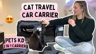 Is Your Cat Carrier Holding You Back? Upgrade to Pet KD's 2 in 1!