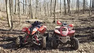 Ripping Through The Woods | Predator 500 | 400EX | #SaveSportQuads