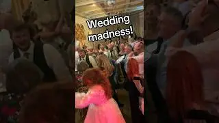 Wedding madness up at Rushpool Hall! #ukwedding #weddingband #onestepbeyond #madness #shorts