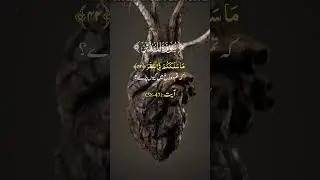 2024 Tilawat Quran