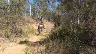 HORSE RIDING IN SAND