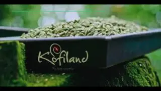 Kofiland Pepper& Cardamom Plantation| Spice Garden Thekkady
