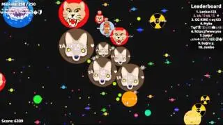 agar.io | 250 bots | | gameplay | boating team
