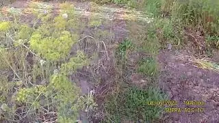 20220806 194650