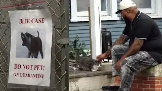 Pit Bull attack victim calls for accountability from dog owners