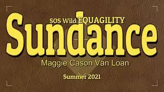 Sundance wild EQUAGILITY 2021