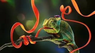 Substance Painter 2018 Spring Release | Adobe Substance 3D