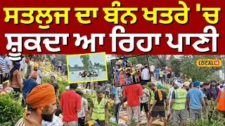 Ludhiana Flood News | ਸਤਲੁਜ ਦਾ ਬੰਨ ਖਤਰੇ 'ਚ, ਸ਼ੂਕਦਾ ਆ ਰਿਹਾ ਪਾਣੀ | Machhiwara | Sutlej | #local18