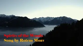 Spirit Of The Woods by Rotem Moav