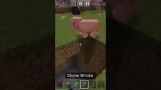 Unlocking Minecraft's Secret: Armor Stand Swapper