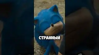 Why is there a blooper in Sonic the Hedgehog?