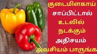 குடைமிளகாய் சாப்பிட்டால்  நடக்கும் அதிசயம்/Top 10 Health Benefits of Capsicum  in Tamil/KudaiMilagai