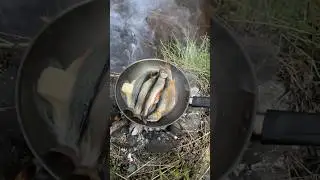 Trout Catch and Cook!