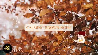 4 Hours Brown Noise Rain Ambience for Deep Reading Focus • Calming Sounds