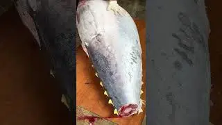 the most satisfying bluefin tuna slice ever captured#satisfyingvideo  #SharpSkills   #clean