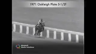 Dual Choice - 1971 - Oakleigh Plate