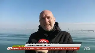 A3 NEWS VENEZIA | 02/02/2026