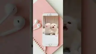 #pets #cat #catvideos #petlover #foryou #trending #trendingshorts #trend #trendingreels