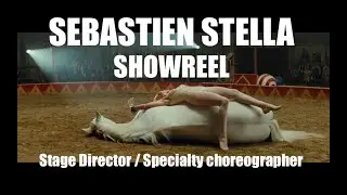 The Genius Behind Hollywood's Best Specialty Choreography | S&eacute;bastien Stella Demo Reel
