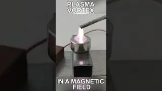 Plasma Vortex in Slow Motion