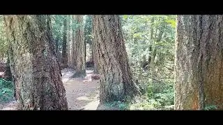 Sunrise [Official] Music Video - A Mesmerizing Musical Journey to Uplift Your Soul