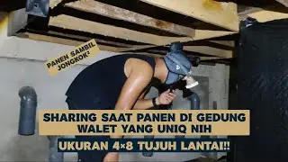 Sharing dari dalam gedung walet uniq, ukuran 4×8 Tujuh Lantai!!