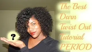 The Best Darn Twist Out Tutorial PERIOD