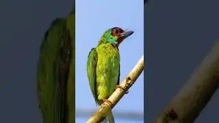 #potography photography WhatsApp status #shorts