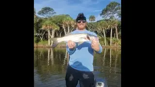 North Florida Snook