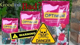 Optimum fish food review // price,Good or Bad ?