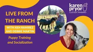 Puppy Training and Socialization with Debbie Martin and Ken Ramirez &bull; Live from The Ranch