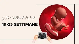 Gravidanza 19-23 | La metà della gravidanza e l'ecografia morfologica