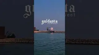 Bittersweet | vibes from 💐 guldasta by ghauri #chilllofi #lofivibes #mellow