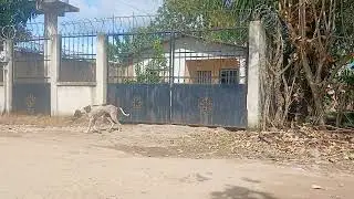 Saludos a todo amigos 