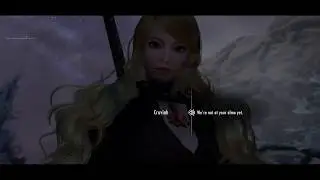 Skyrim SE : Alternate Conversation Camera is easily the best face to face conversation mod.